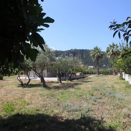 Olga Home Agios Ioannis Lefkada - Lefkada Bnb 外观 照片